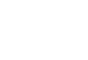 Goodcause Travel Horse Logo